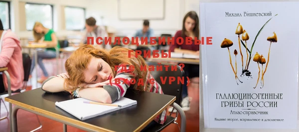кокс Алексин
