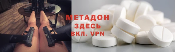 прущие грибы Абинск