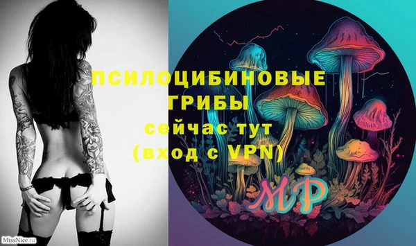 прущие грибы Абинск