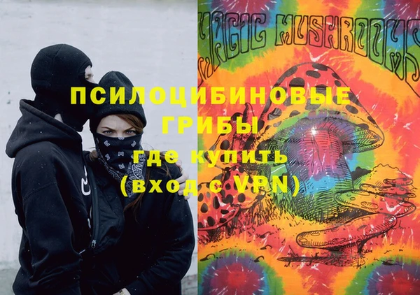 прущие грибы Абинск