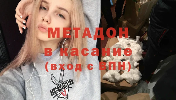прущие грибы Абинск