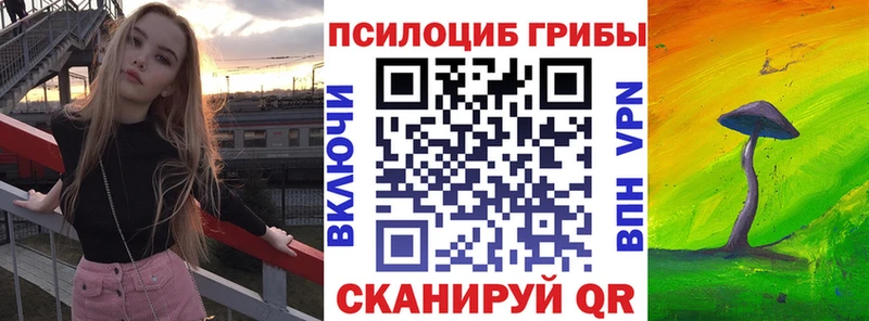 наркотики  Ирбит  Псилоцибиновые грибы Psilocybe 